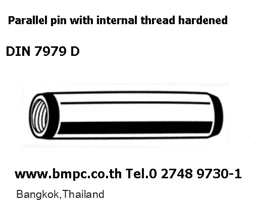 Parallel pin, pin with thread, สลักแบบมีเกลียวใน, Paralles with female thread